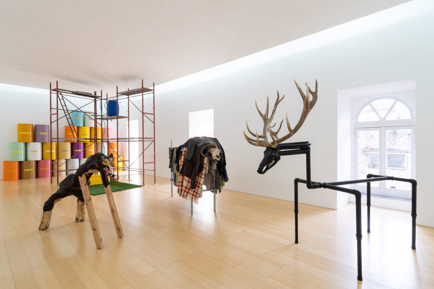 Artwork : pieces of animal remains attached to inorganic frameworks, such as a deer skull and antlers on a pvc pipe body.jpg